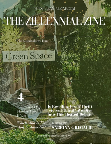 Libro: The Sustainability Issue: The Zillennial Zine