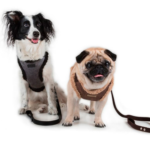 Pretal Arnes Para Perros Eco Cuero Jaguer Rock