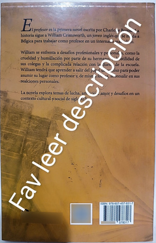 El Profesor Charlotte Bronte