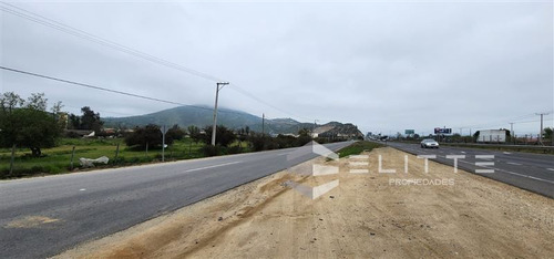 Imagen 4 de 29 de Industrial En Venta En Casablanca