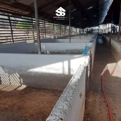 Finca En Venta - Guárico - Granja De Porcina