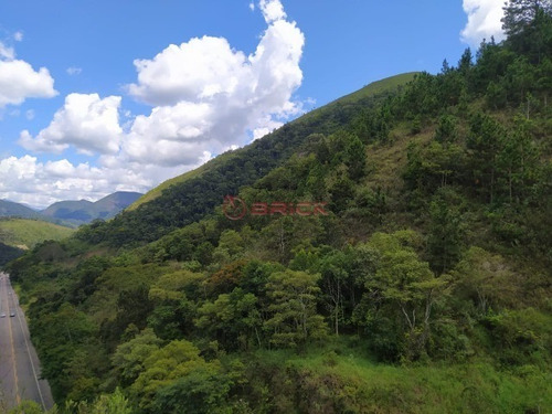 Imagem 10 de 12 de Grande Fazenda Com 2.5 Milhões De Área Total - Fa00020 - 69353189