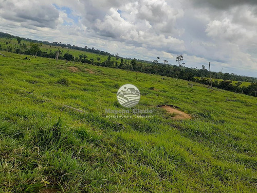 Imagem 7 de 10 de Venda Sítio Buritis Em Rondônia - Si337