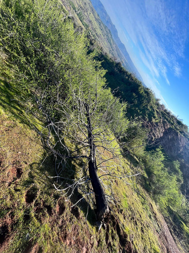 Terreno En Arriendo Con Alto Potencial Multipropósito