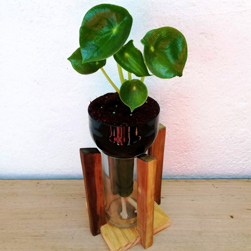 Cuchara Little Plant 24 Con Soporte, Maceta Autorregante
