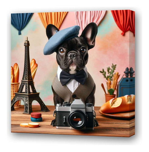 Cuadro 45x45cm Bulldog Frances Camara De Fotos Paris