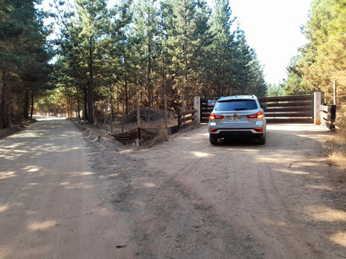 Terreno 20 Mtos. De Pichilemu Y Playa Mónaco