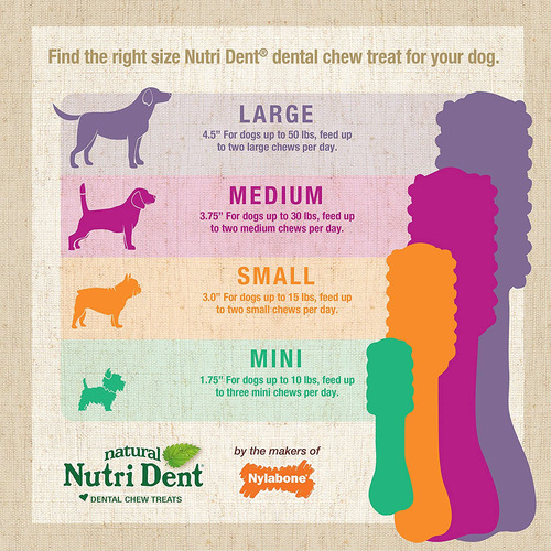 Dental Chew Treats Nylabone Nutri Dent Sabor A Aliento Fresc