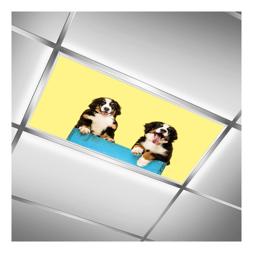 Dog Puppie Yellow Wall Ceiling Fluorescent Light Estuche