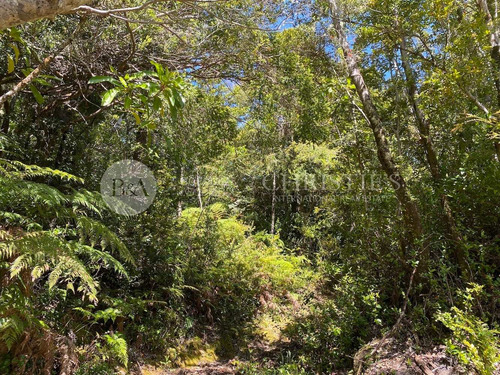 Imagen 4 de 14 de 21375 - Sitios En Estaquilla