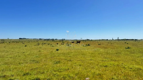Campo En San Carlos,