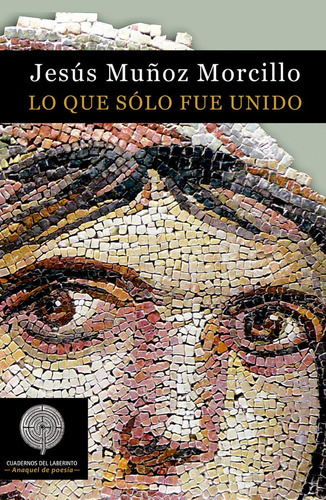 Lo Que Solo Fue Unido, De Muñoz Morcillo, Jesús. Editorial Cuadernos Del Laberinto, Tapa Blanda En Español