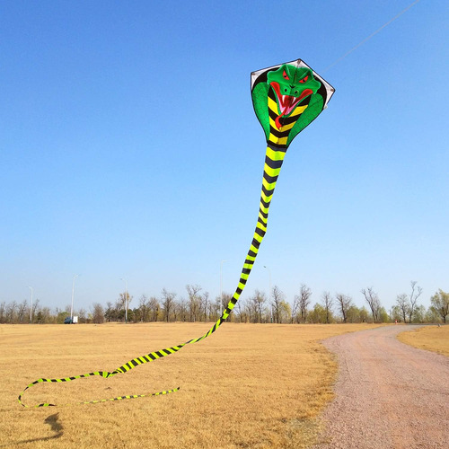 Cometa Cobra Para Toda La Familia Con Cola