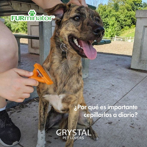 Combo Cepillo Furminator Pelo Corto M + Recolector De Pelo