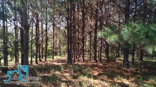 Imagem 7 de 8 de Vendo Área Frente Para Raposo Tavares Itapetininga Sp - 454
