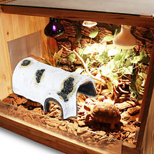 Muelle Para Reptiles Para, Rampa Para Escalar Estilo C