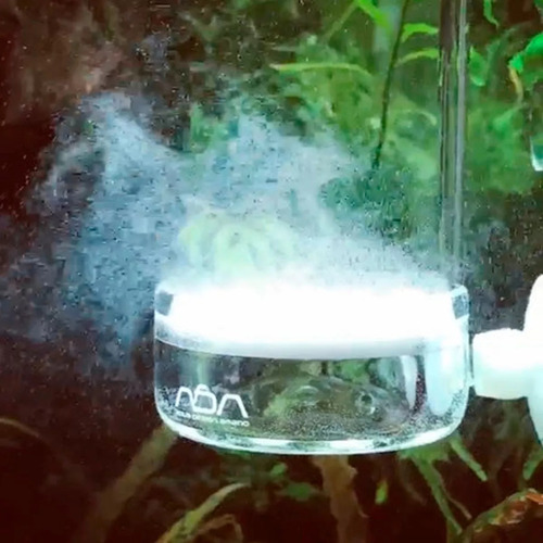 Ada Pollen Glass Beetle 50ø Difusor De Co2 Para Acuarios