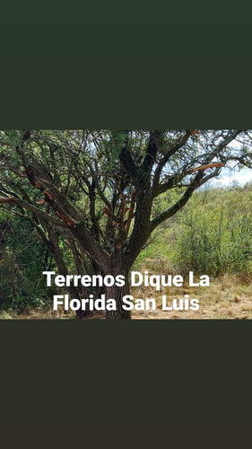 Imagen 2 de 9 de Terreno En San Luis Con Domo Geodésico Trapiche Dique La Florida