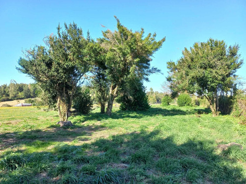 Terreno A Orilla De Camino! (177508)