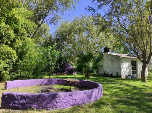 Venta. Quinta En Funes. 32.000 M2. Recomendamos