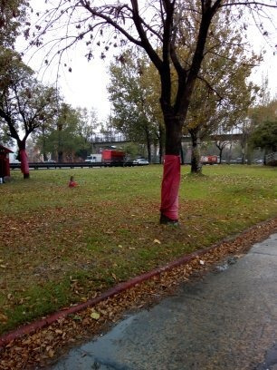 Imagen 4 de 6 de Galpon 150 Metros En Parque Avellaneda