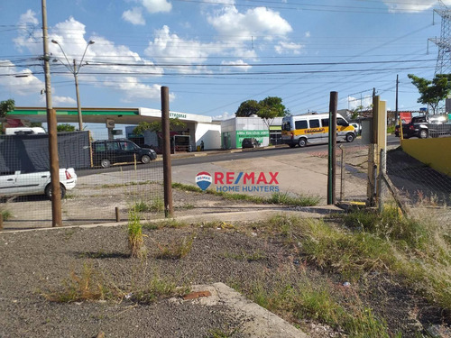 Imagem 11 de 28 de Terreno Para Alugar, 1000 M² Por R$ 4.000,00/mês - Sousas - Campinas/sp - Te0991