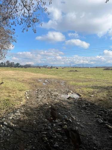 Parcelas En Venta Camino Santa Margarita La Compañia