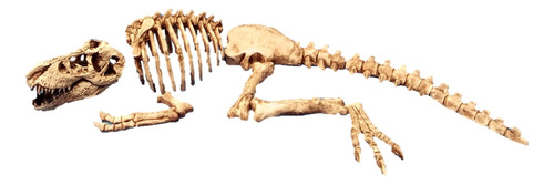 Adorno Acuario Resina Esqueleto De Tiranosaurio Rex