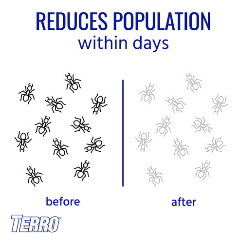 Terro T300 Cebos Liquidos Para Hormigas, 6 Unidades