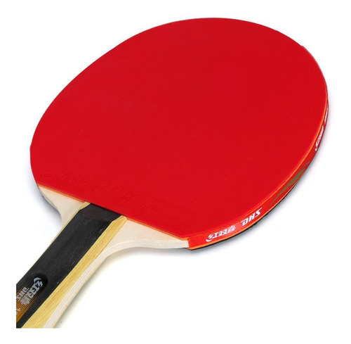 Raquete De Tênis De Mesa Dhs Clássica H1003 Ittf Approved