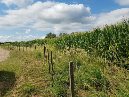 Campo En Venta En Guiñazu, Córdo Verde