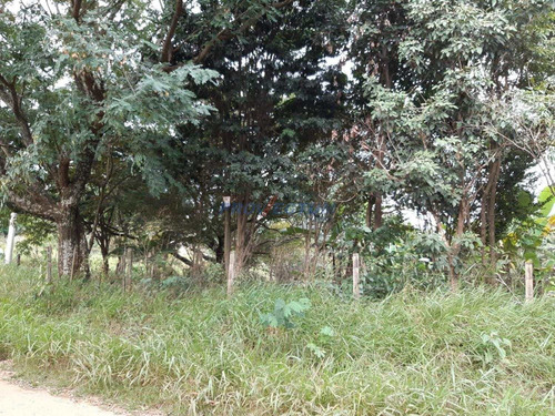Imagem 4 de 11 de Terreno À Venda Em Jardim Monte Belo - Te268331