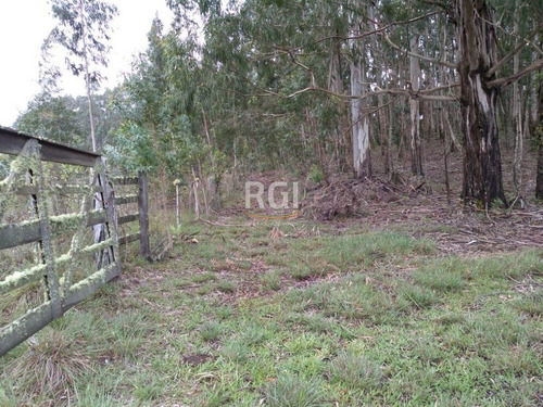 Terreno Em Primeiro Distrito - El56353457