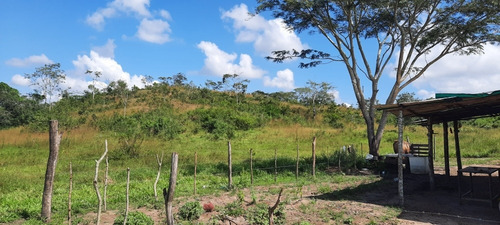Imagen 9 de 14 de Se Vende Finca 72 Has Orilla De Carretera Manzanita
