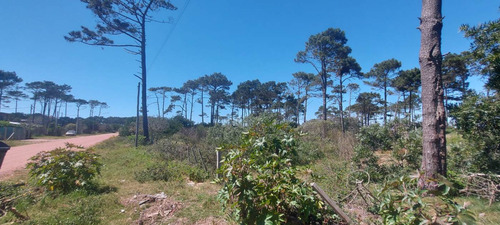 Terreno En Venta En El Bosque En Punta Del Diablo