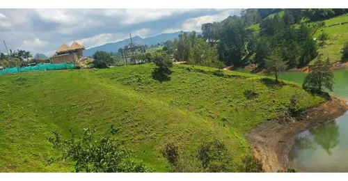 Rhbr-10475 (lote , Guatape)