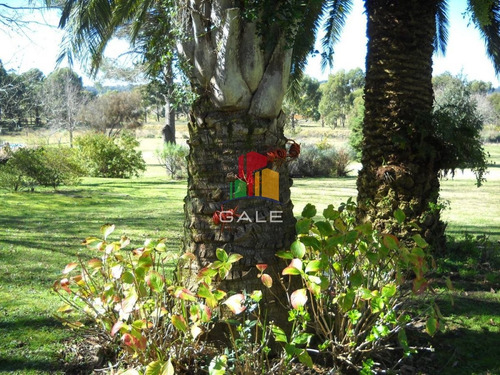 Imagen 11 de 30 de Venta Chacra Punta Del Este - Zona Rural