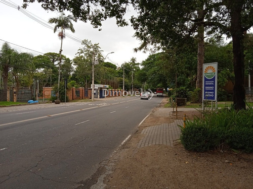 Imagem 14 de 15 de Terreno Comercial - Ipanema - Ref: 24252 - L-24252