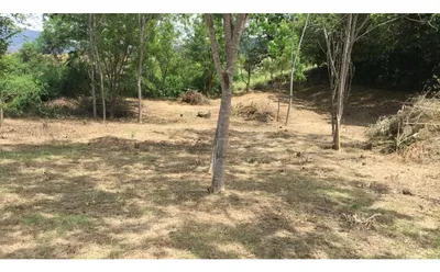 Lote y casalote en venta