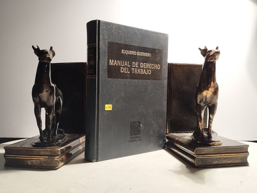 Manual De Derecho Del Trabajo (Usado)