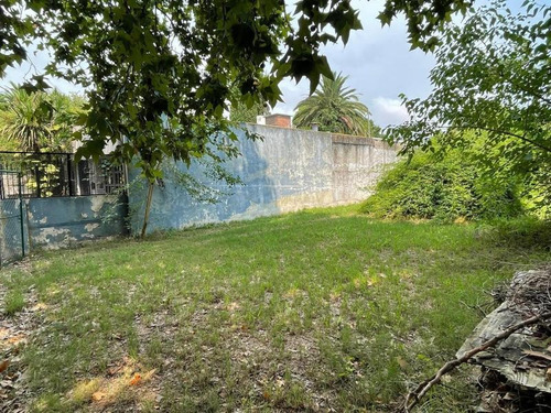 Imagen 4 de 15 de Venta Lote Punta Chica 412m2 - Vito Dumas