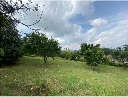 Gran Lote En La Estrella. Código 58