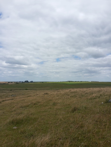 Se Vende Gran Campo En El Departamento De Florida. Superficie De 150 Hectáreas. Está Todo El Predio Alambrado, Tiene Tajamares. Tiene La Gran Ventaja Y Facilidad De Acceso Directo Por 2 Rutas.