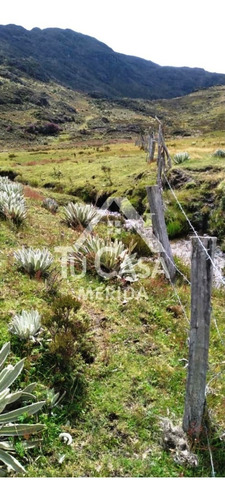 Finca Agrícola Gavidia - Mucuchies