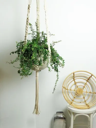 Colgante Para Plantas - Macetas Extra Grande / Macramé Boho