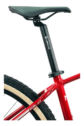 Bicicleta 29 Absolute Wild Boost Elite 12v C/ Hidr (l-19)
