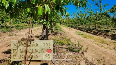 Agrícola en venta