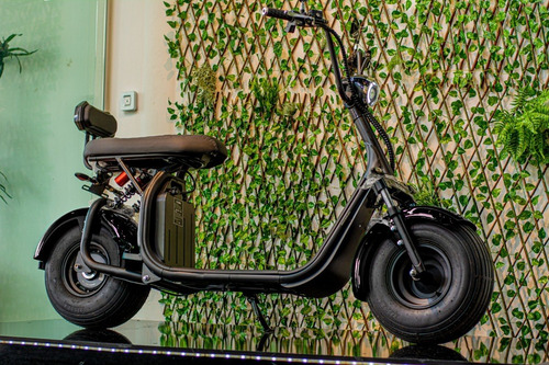 Imagem 2 de 15 de Scooter Elétrica