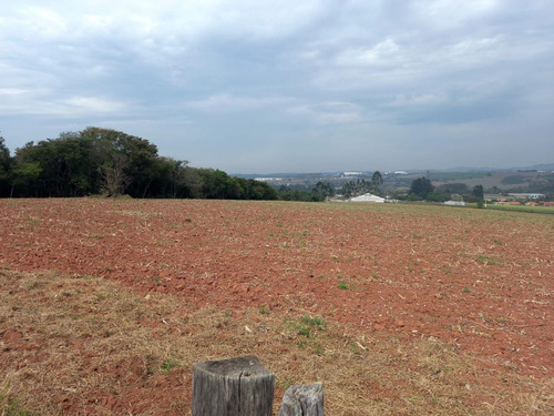 Imagem 4 de 14 de B02- More Próximo Ao Parque Do Morango! Lotes Promocionais!!