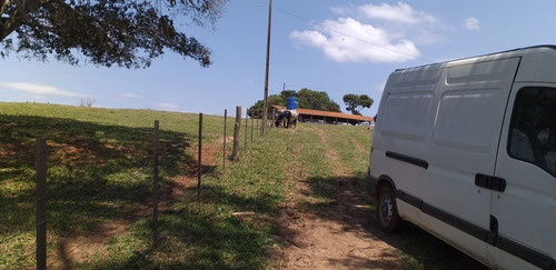 Imagem 9 de 17 de Sítio 5,6 Alqueires, 100% Tratoravel, Casa Sede, Casa De Caseiro, Poço Artesiano, 18 Cabeças De Gado, Porcos,galinhas, 2 Cavalos, Reservatorio De Agua - St00127 - 70193318